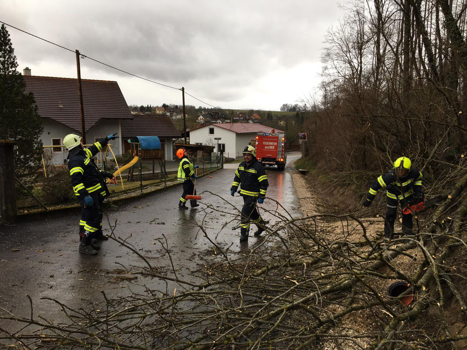 +++ Brandverdacht Seerbergstraße +++